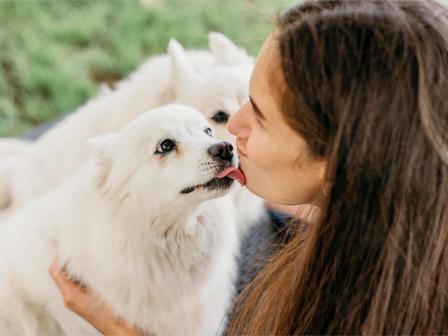 Las razones por las que no deberías dejar que tu perro te lama la cara