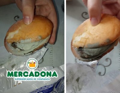 Compra estos bollos de Mercadona y encuentra colonia de moho creciendo por todo el bizcocho