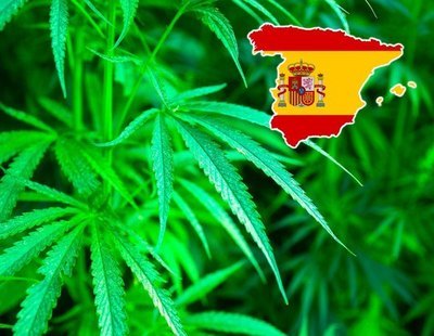 El mapa de la marihuana en España: el ranking de comunidades que más porros consumen