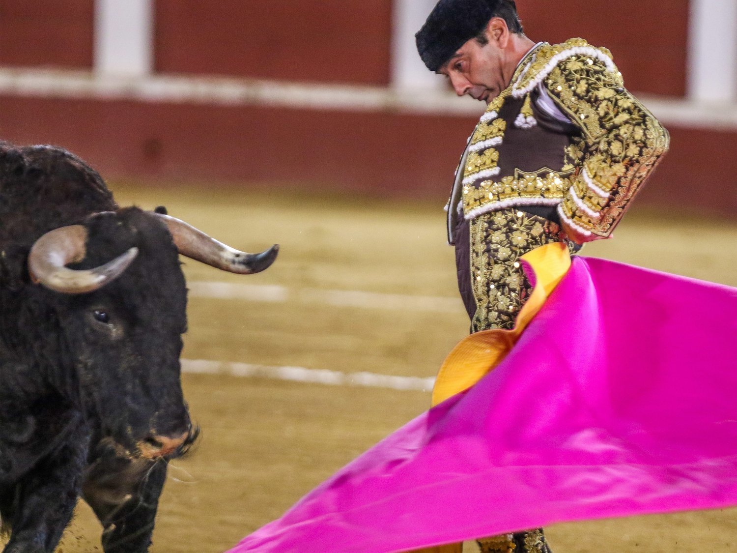 El PSOE se abstiene en la propuesta del PP para que RTVE emita corridas de toros