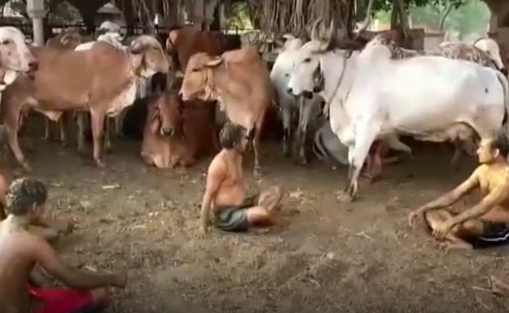 Se ha comenzado a difundir este ritual en el estado de Gujarat
