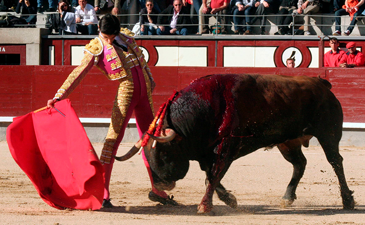 Víctor Barrio en una corrida de toros