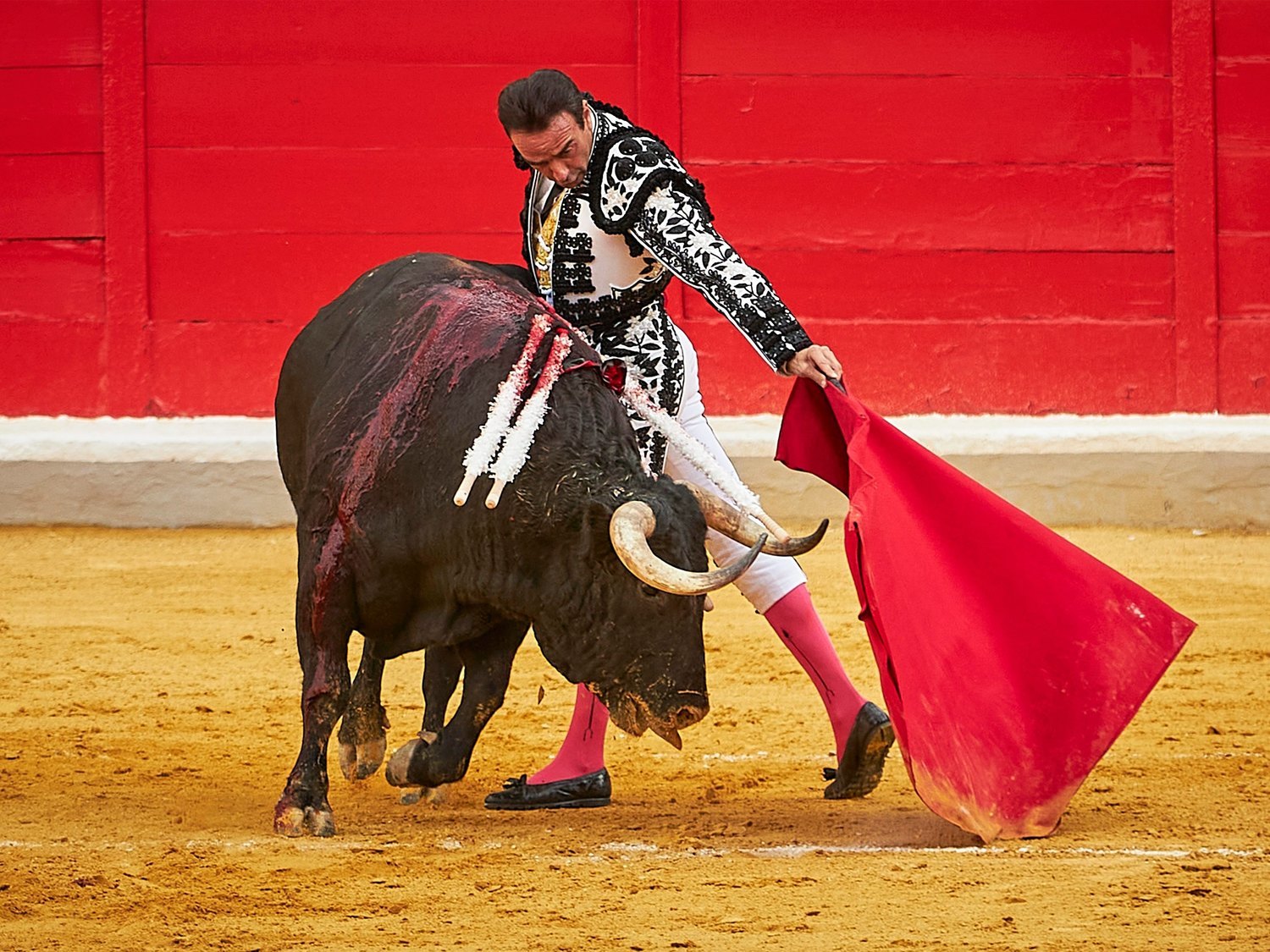 Llamar "asesino" a un torero ya no es libertad de expresión, según el Constitucional