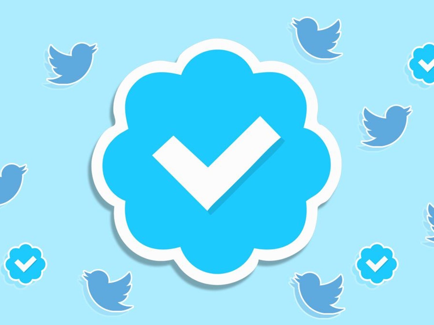 Así puedes verificar tu cuenta de Twitter: cómo conseguir el tick azul, paso a paso