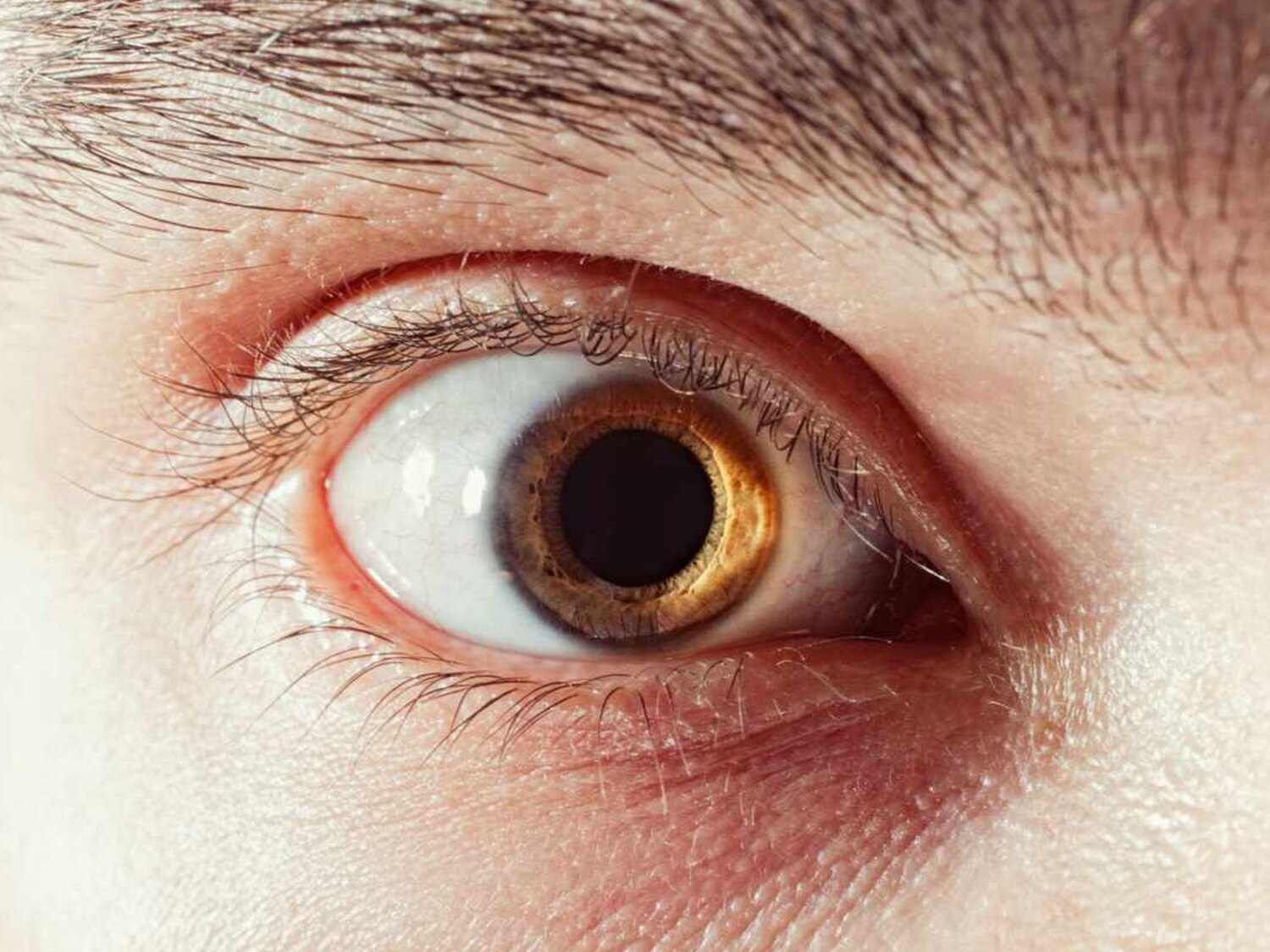 El tamaño de tu pupila determina tu inteligencia, según un estudio