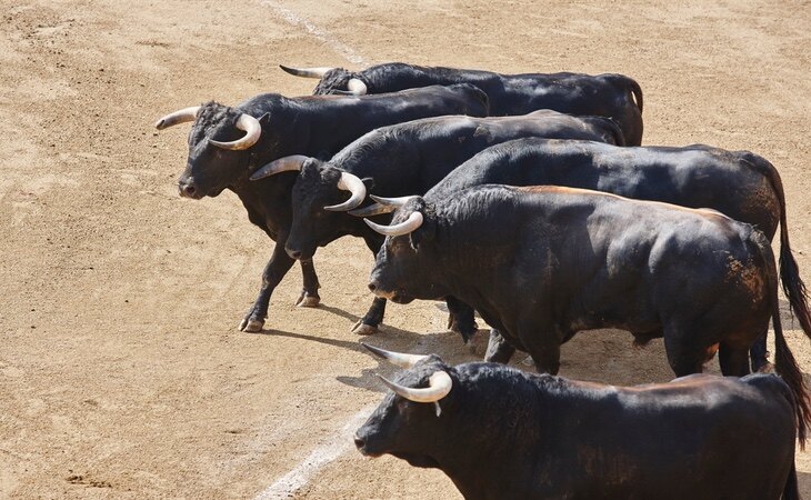 La tauromaquia reparte los salarios en función de varias categorías profesionales