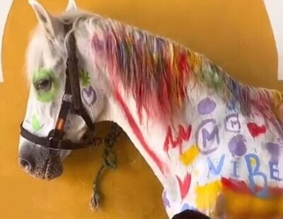 Indignación por una actividad infantil en un curso de verano: pintar un caballo