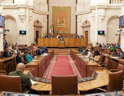 Una rata se cuela en el parlamento de Andalucía y siembra el pánico entre los diputados