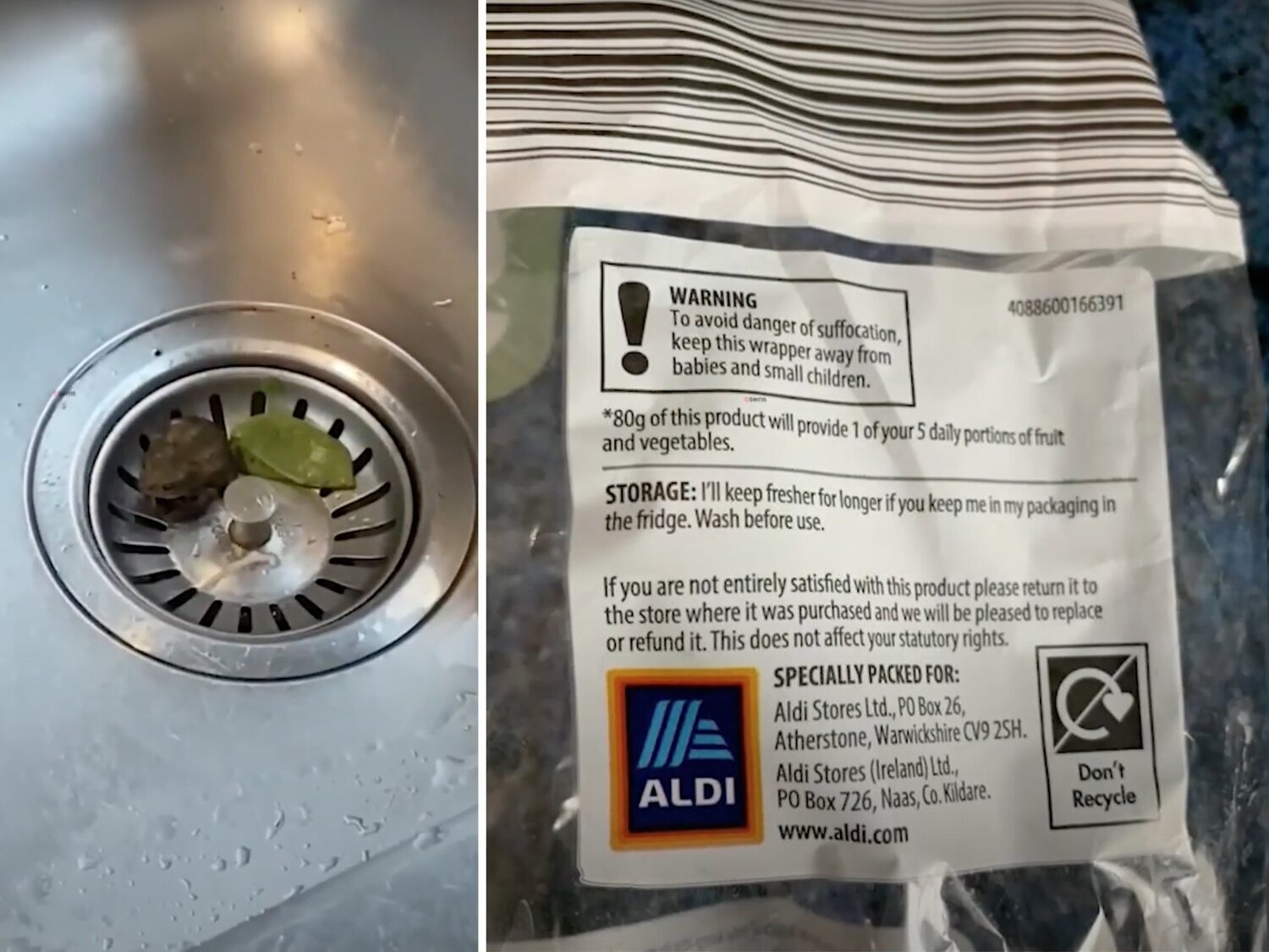 Compra una bolsa de espinacas en Aldi y encuentra una rana viva en su interior