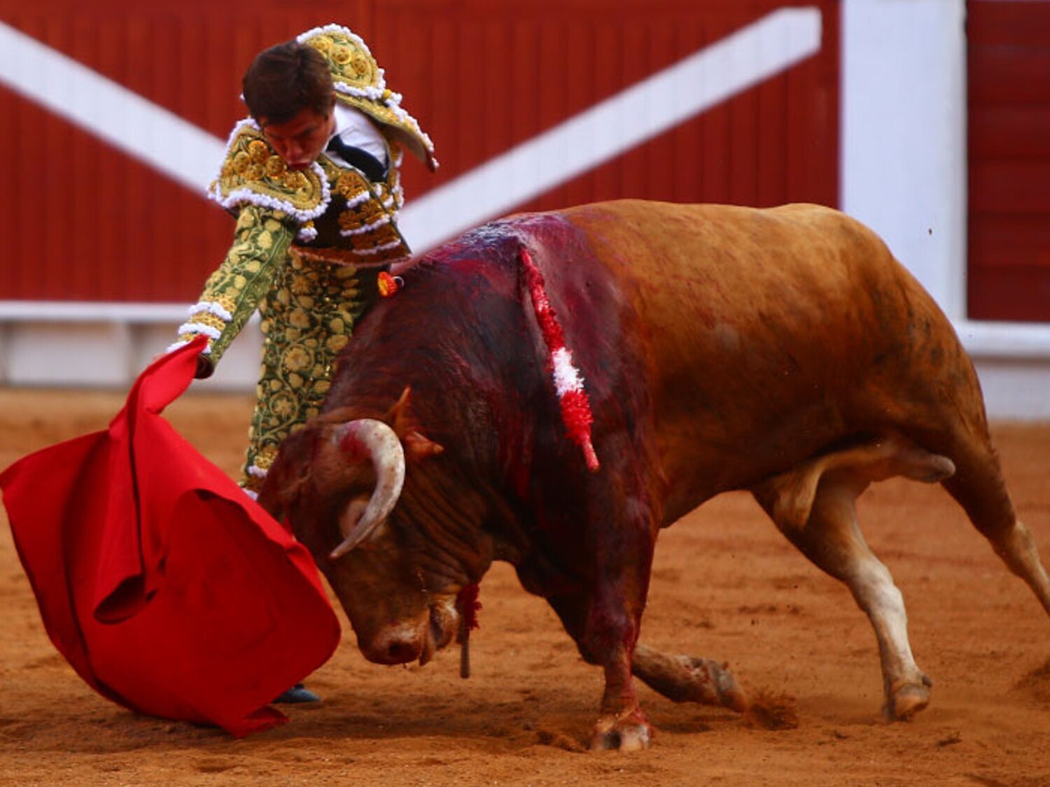 La plaza de toros de Gijón será un espacio para conciertos y actuaciones