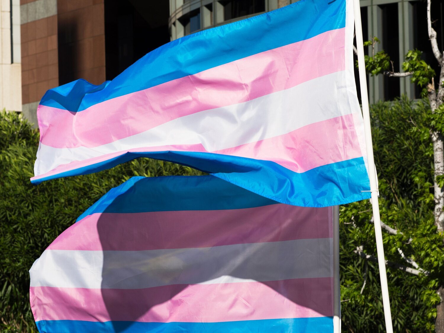 Transfobia: agresión a un joven trans en Valencia por hablar en género neutro