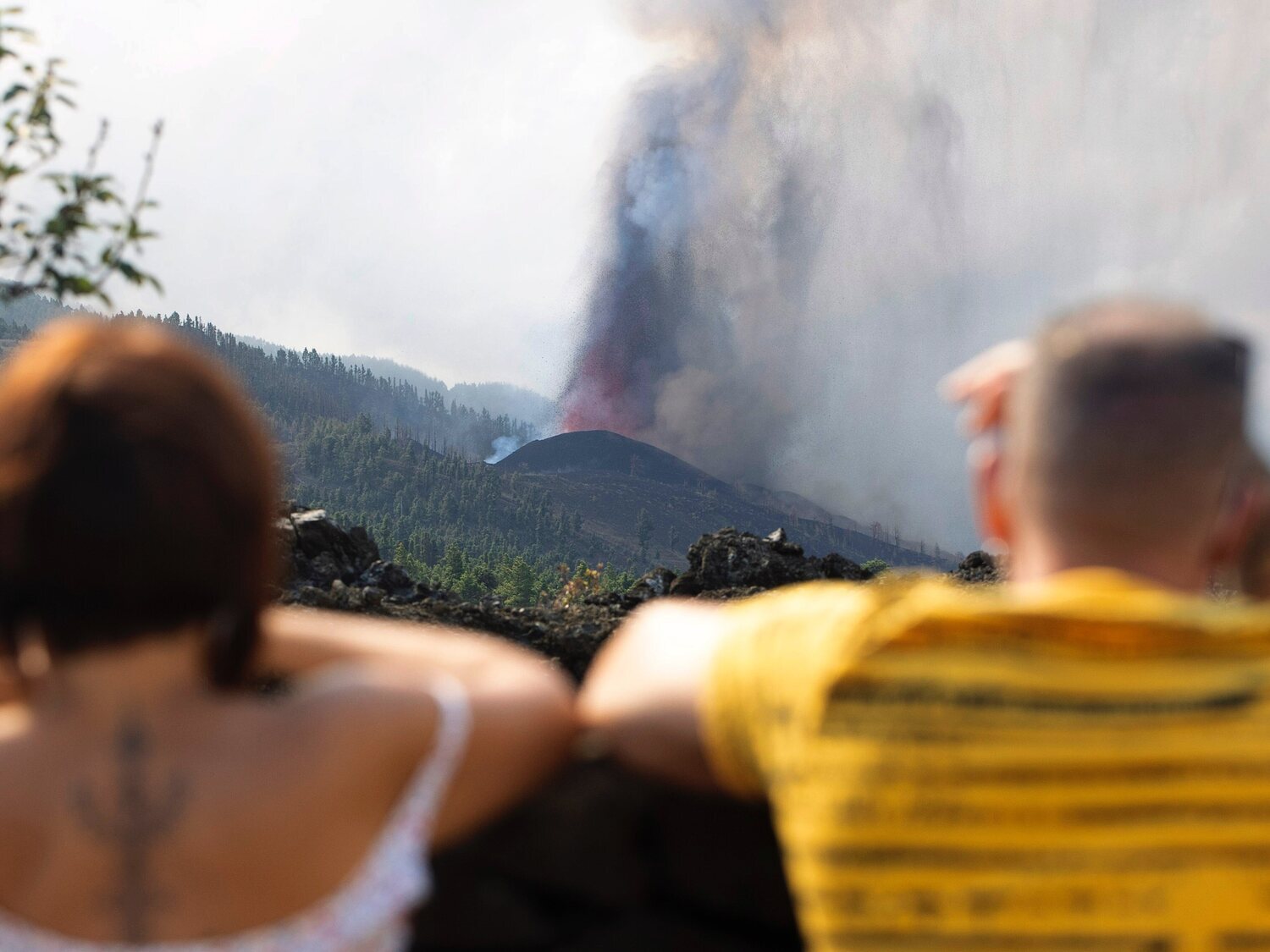 ¿Cómo puedes ayudar a los afectados por la erupción del volcán de La Palma?