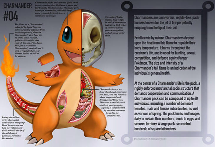 Así podremos ver a Charmander