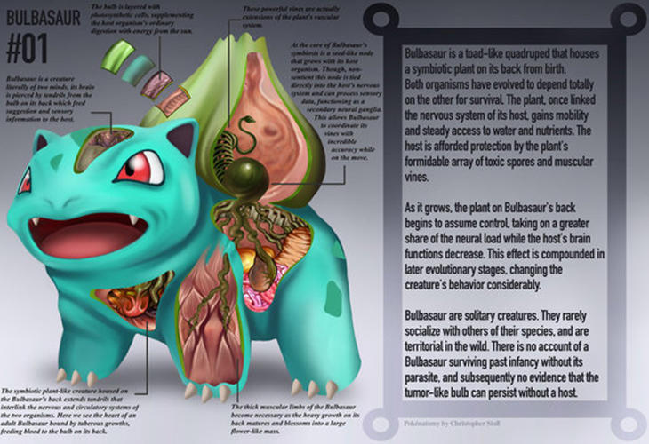 Imagen de Bulbasaur