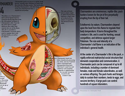 La 'PokéNatomy', una guía anatómica de todos los Pokémon originales solo para los seguidores más fieles