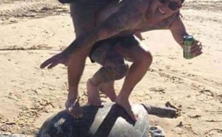 Los dos jóvenes podrían haber matado a la tortuga