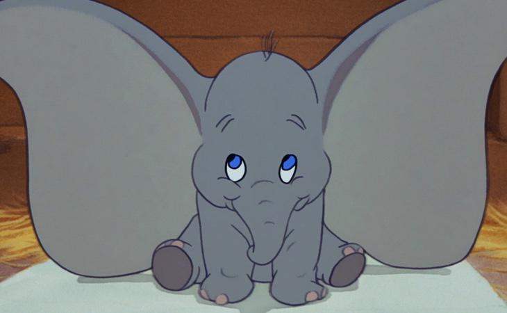 'Dumbo'