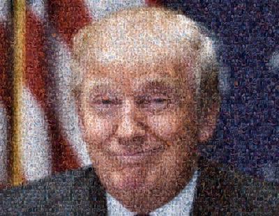 Un hombre ha recreado el rostro de Donald Trump con cientos de fotos de penes