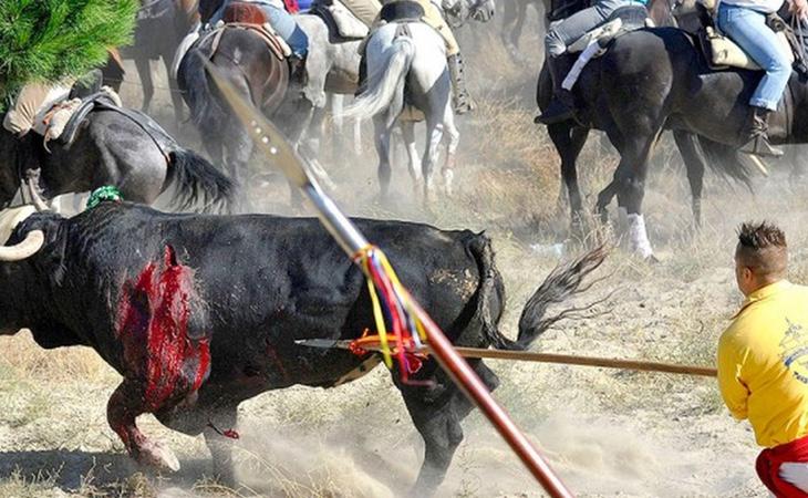 Miles de personas se han manifestado en contra de esta salvaje tradición