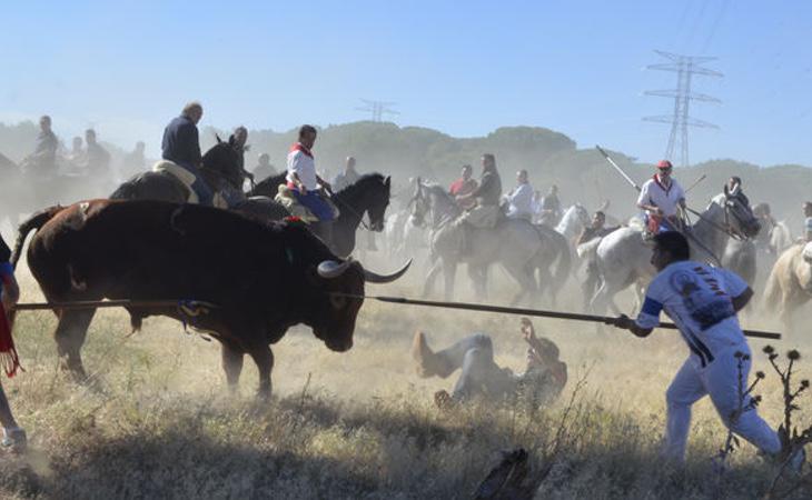 Ya no se podrá lancear ni matar al toro