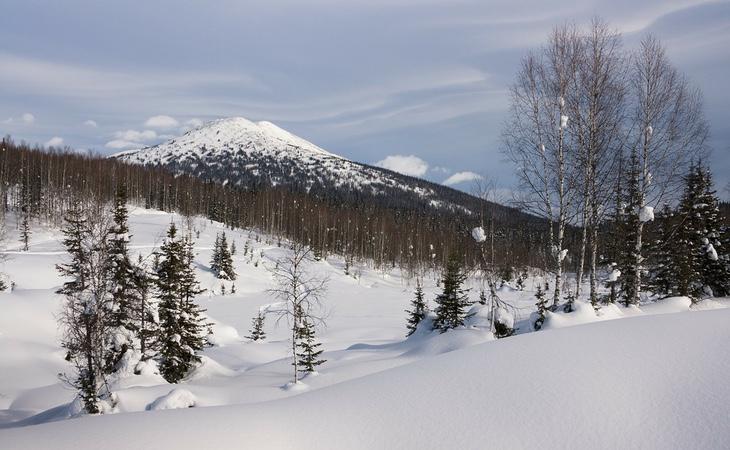 Los peligros de Siberia incluyen osos, lobos y temperaturas extremas