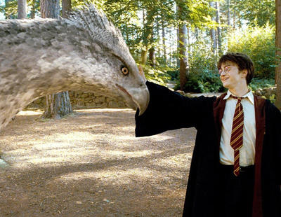 Buckbeak, el hipogrifo de 'Harry Potter', existe en el mundo real