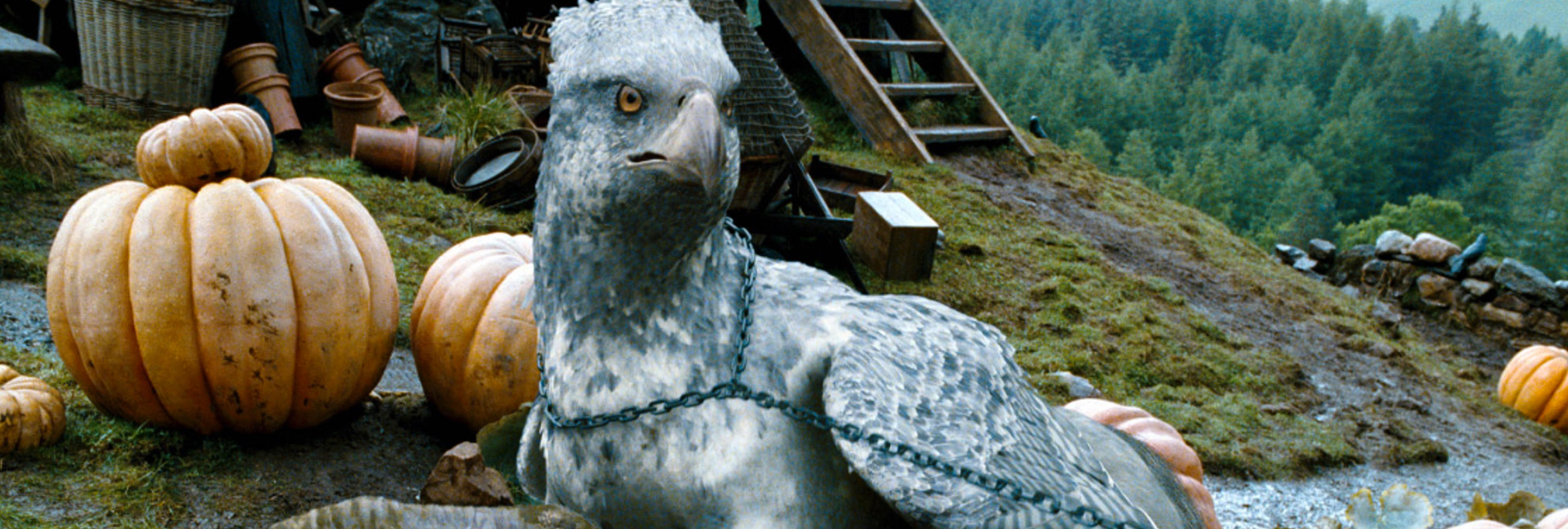 Buckbeak, el hipogrifo de 'Harry Potter', existe en el 