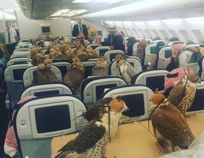 Un príncipe saudí compra 80 billetes de avión para poder volar con sus halcones