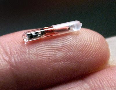 Así es el chip implantado que usarán las empresas para controlar a sus trabajadores