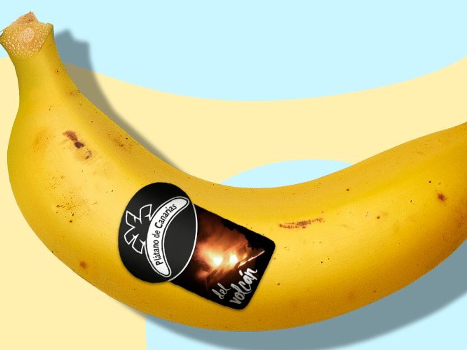 'Del volcán': El sello de los plátanos de Canarias producidos en zonas afectadas de La Palma
