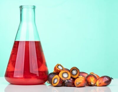 El aceite de palma favorece la metástasis del cáncer, según un estudio científico
