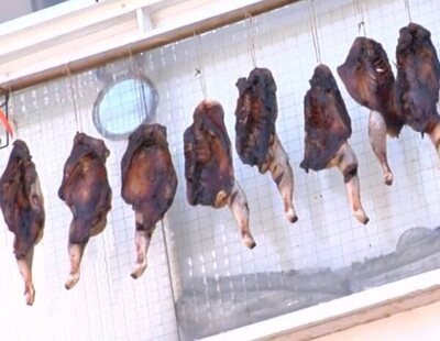 Un vecino de Madrid se dedica a tender pollos en su balcón: "Da asco"