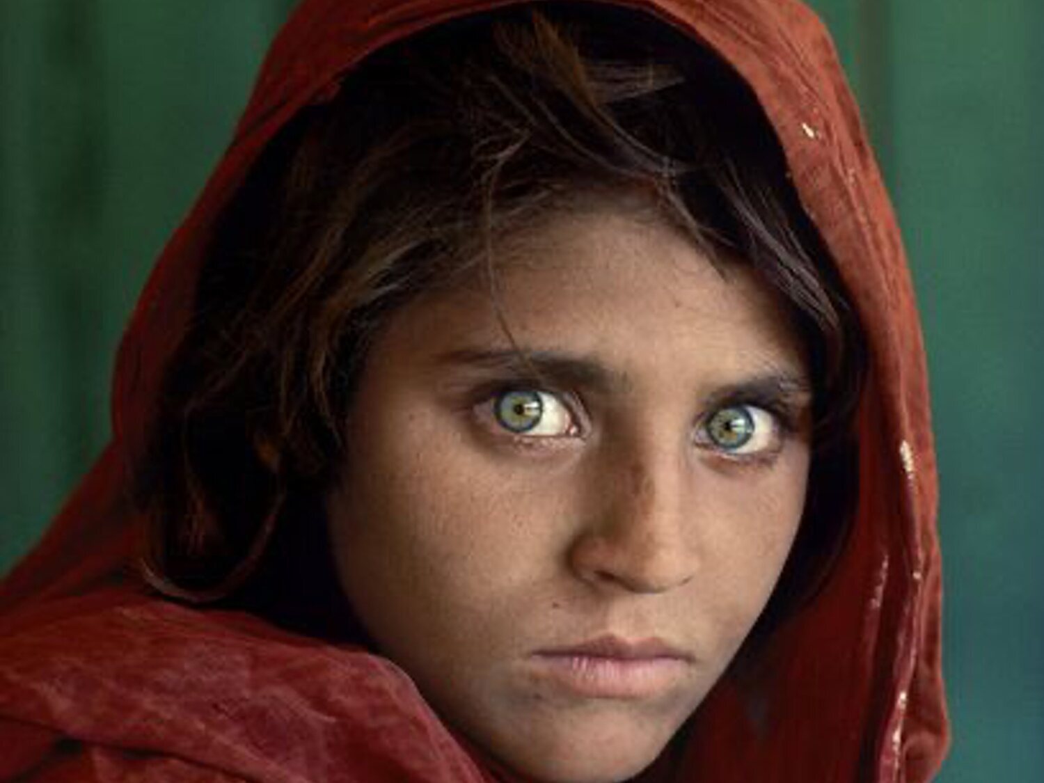 La famosa niña afgana portada de National Geographic llega a Roma como refugiada 37 años después