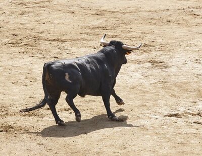 Ciudad de México da la espalda a los toros: aprueba el cierre de la plaza más grande del mundo y estudia su abolición