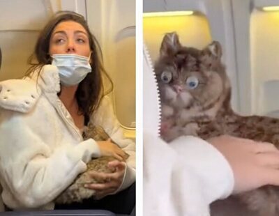 La historia real detrás del vídeo viral de una pasajera amamantando a un gato en un avión