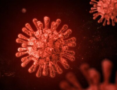 Un grupo de científicos de Wuhan alerta sobre NeoCoV: un nuevo coronavirus todavía más letal si salta a humanos