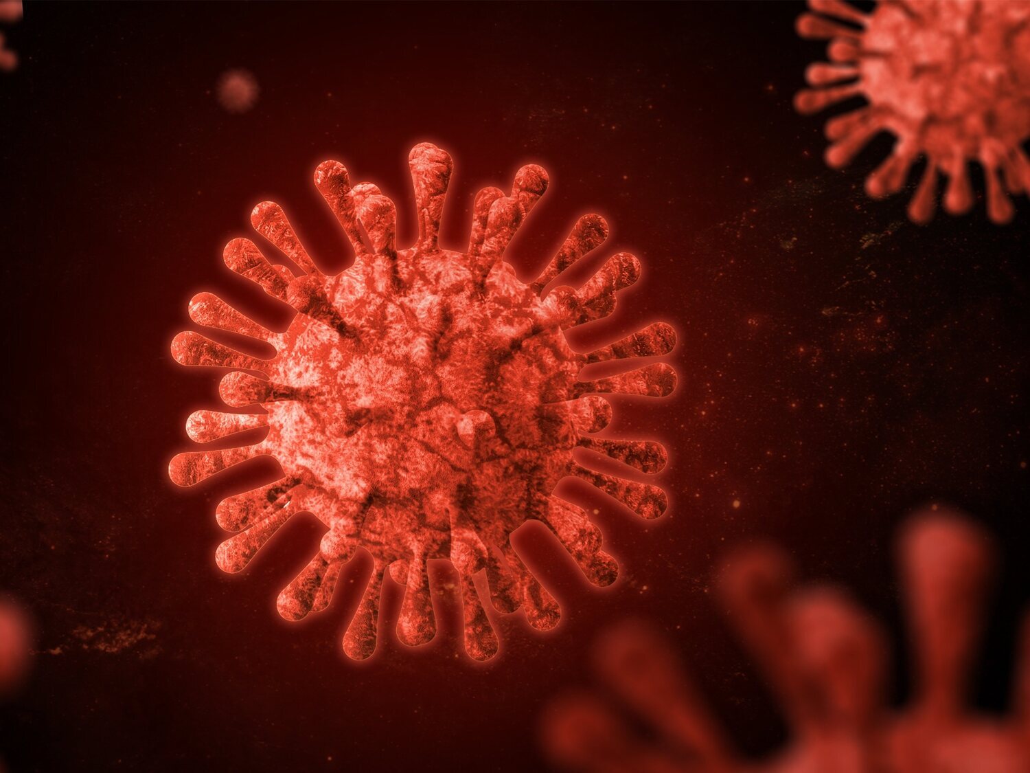 Un grupo de científicos de Wuhan alerta sobre NeoCoV: un nuevo coronavirus todavía más letal si salta a humanos