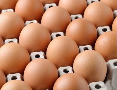 Alerta alimentaria: detectan varios brotes de salmonela vinculados a estos huevos de origen español