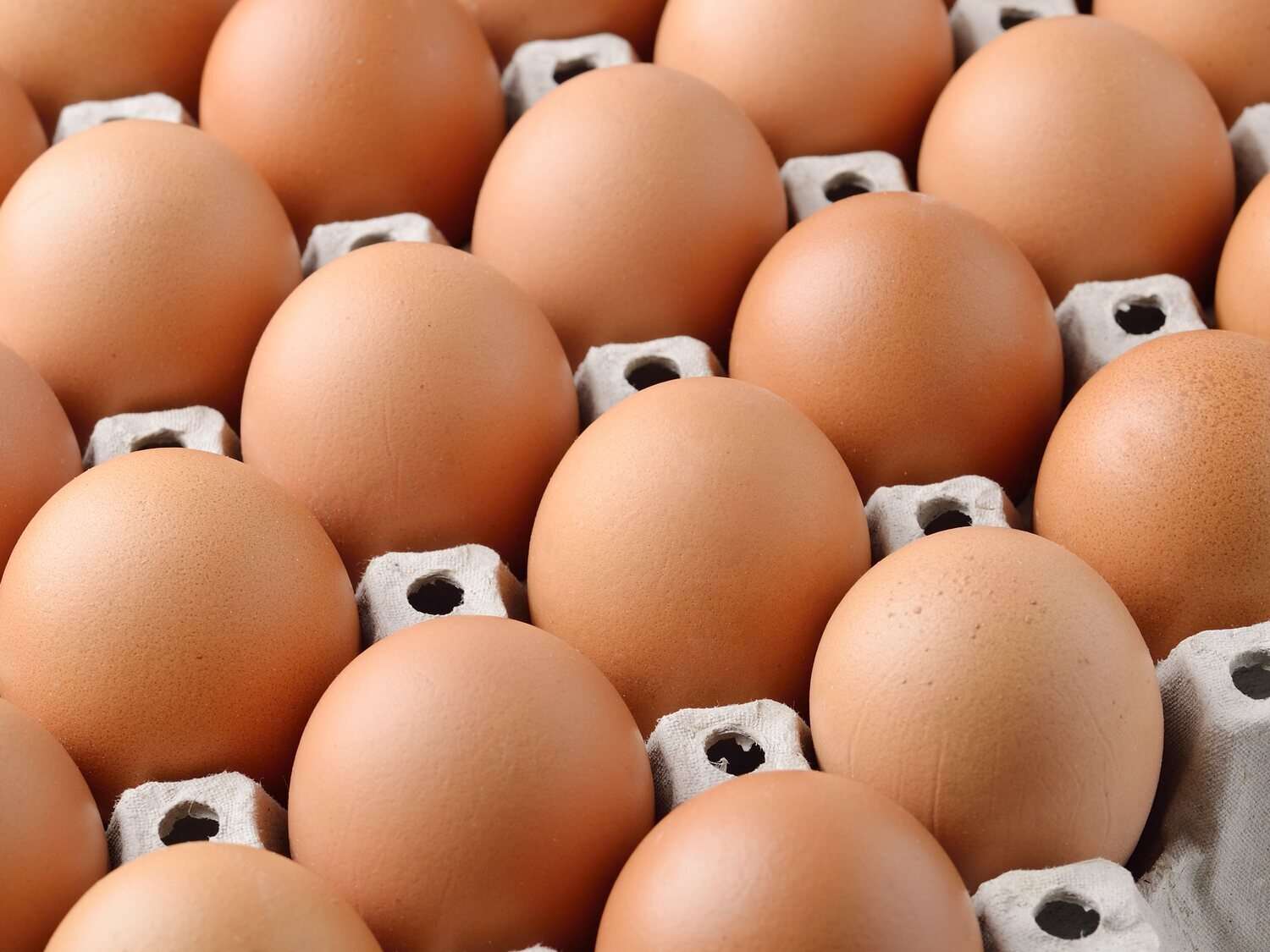 Alerta alimentaria: detectan varios brotes de salmonela vinculados a estos huevos de origen español