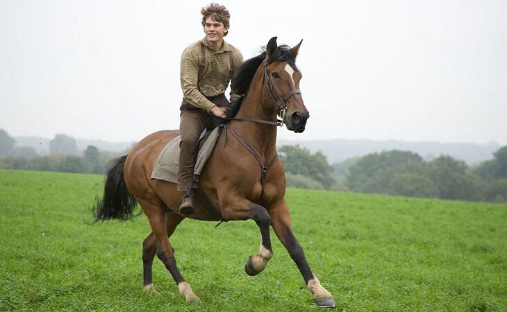 'War Horse (Caballo de batalla)', de Steven Spielberg