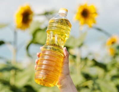 ¿Por qué España importa aceite de girasol si también lo producimos en gran cantidad?