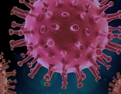 Un experto del CSIC advierte sobre las pandemias virales: "Serán cada vez más frecuentes"