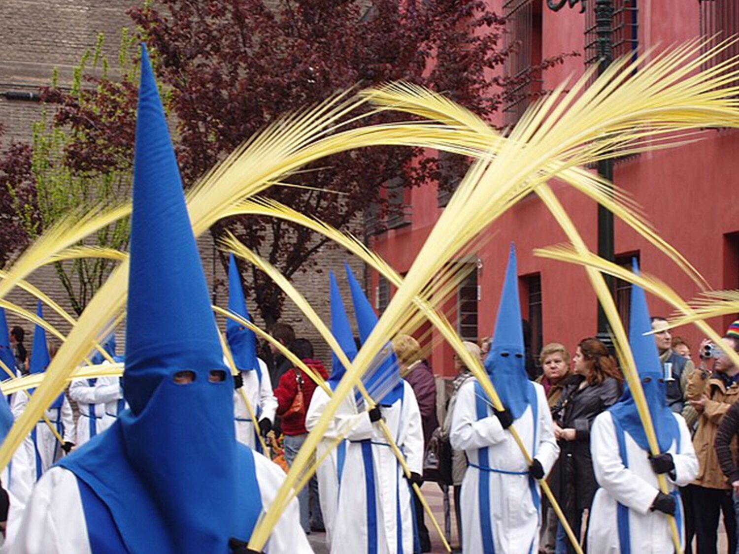 El significado del uso de la palma en el Domingo de Ramos de Semana Santa