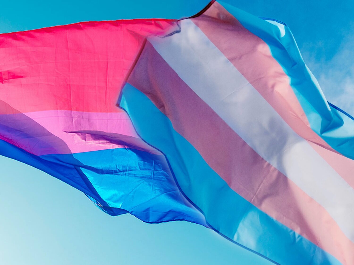 Denuncian a un grupo de menores por incitar a dar una paliza a otro por ser trans y bisexual