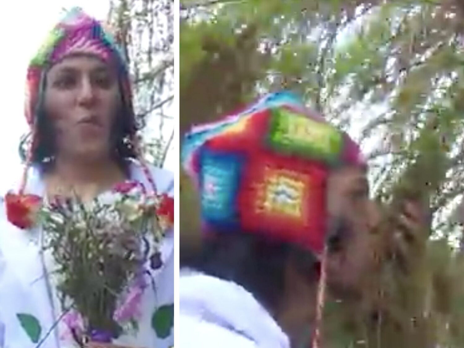 Un hombre se casa con un árbol de El Retiro de Madrid: "He renunciado a casarme con personas"