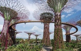 Nueva medida para frenar el cambio climático: árboles artificiales