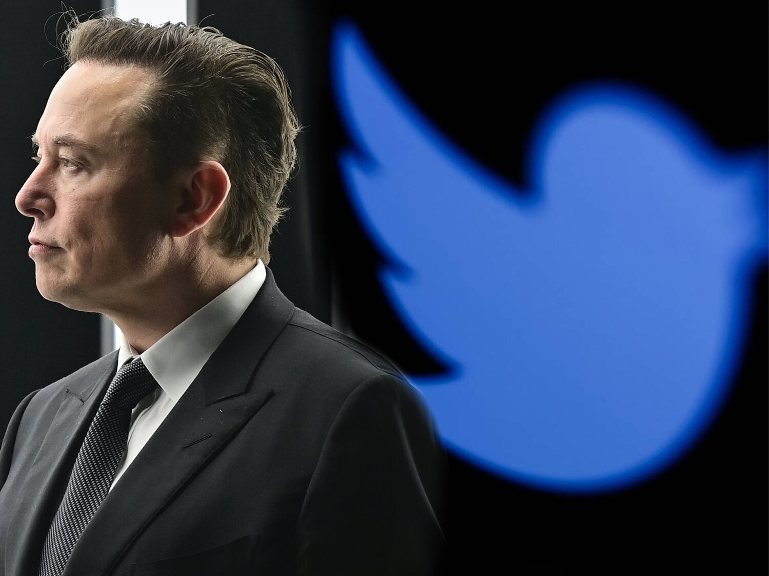 Las propuestas de Elon Musk para cambiar Twitter