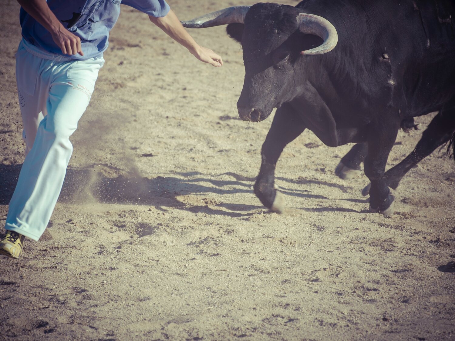 Muere un hombre corneado por un toro durante un encierro en Valladolid