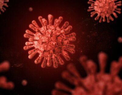 Así es Lloviu: el virus descubierto en Asturias pariente del ébola que puede provocar la próxima pandemia