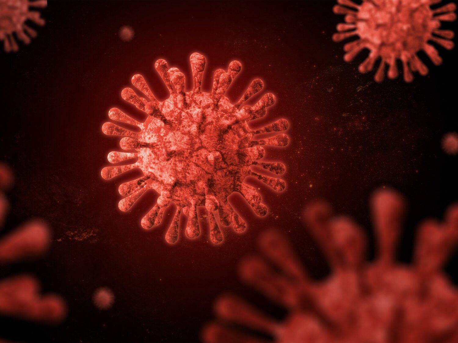 Así es Lloviu: el virus descubierto en Asturias pariente del ébola que puede provocar la próxima pandemia